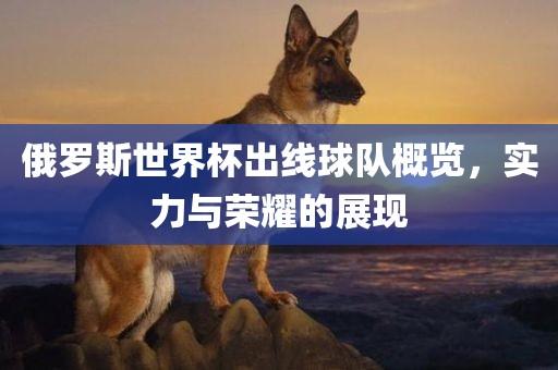 俄罗斯世界杯出线球队概览，实力与荣耀的展现