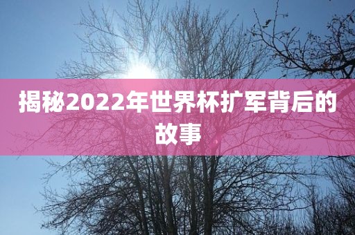 揭秘2022年世界杯扩军背后的故事