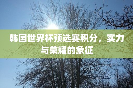 韩国世界杯预选赛积分，实力与荣耀的象征眉山市正发家政服务有限公司
