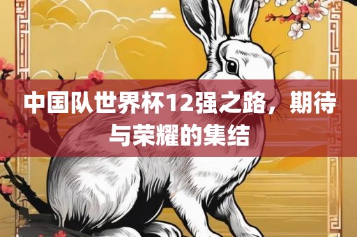 中国队世界杯12强之路，期待与荣耀的集结眉山市正发家政服务有限公司