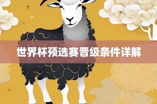 世界杯预选赛晋级条件详解眉山市正发家政服务有限公司