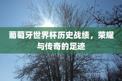 葡萄牙世界杯历史战绩，荣耀与传奇的足迹眉山市正发家政服务有限公司