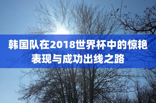 韩国队在2018世界杯中的惊艳表现与成功出线之路