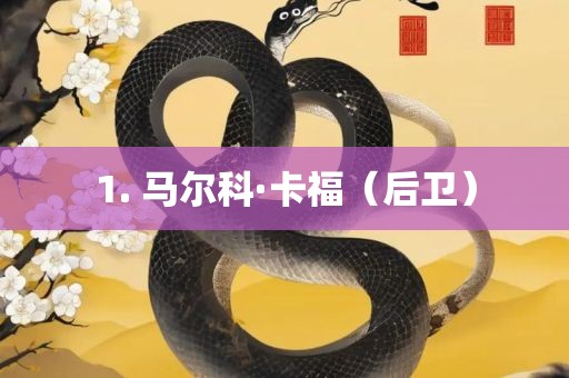 1. 马尔科·卡福（后卫）