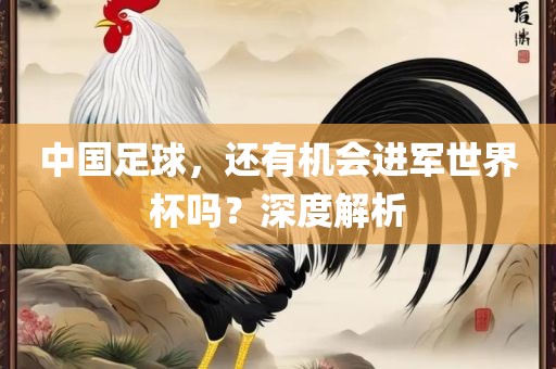 中国足球，还有机会进军世界杯吗？深度解析眉山市正发家政服务有限公司