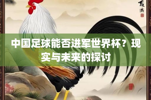 中国足球能否进军世界杯？现实与未来的探讨