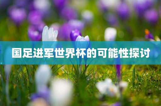 国足进军世界杯的可能性探讨