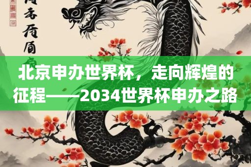 北京申办世界杯，走向辉煌的征程——2034世界杯申办之路眉山市正发家政服务有限公司