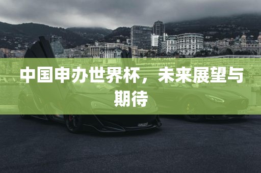 中国申办世界杯，未来展望与期待