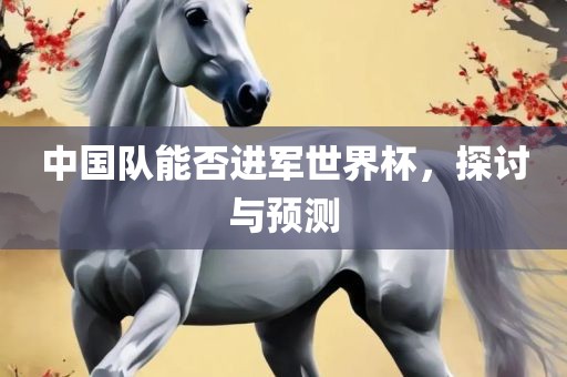 中国队能否进军世界杯，探讨与预测眉山市正发家政服务有限公司