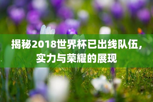 揭秘2018世界杯已出线队伍，实力与荣耀的展现