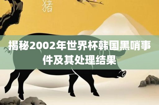 揭秘2002年世界杯韩国黑哨事件及其处理结果