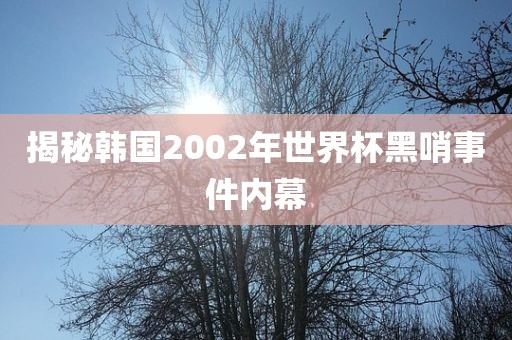 揭秘韩国2002年世界杯黑哨事件内幕眉山市正发家政服务有限公司