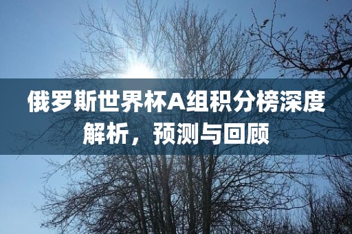 俄罗斯世界杯A组积分榜深度解析，预测与回顾眉山市正发家政服务有限公司