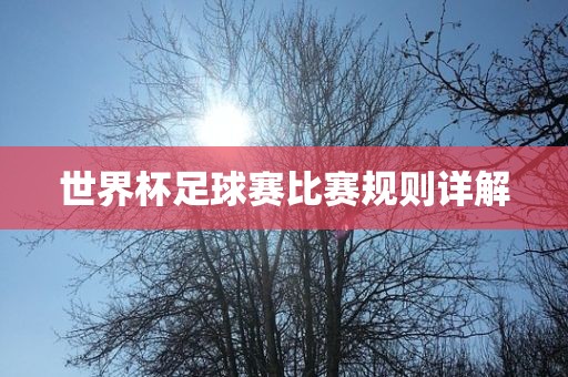 世界杯足球赛比赛规则详解
