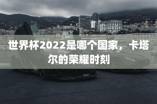 世界杯2022是哪个国家，卡塔尔的荣耀时刻眉山市正发家政服务有限公司