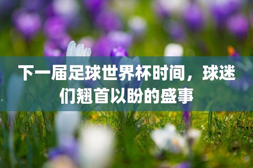 下一届足球世界杯时间，球迷们翘首以盼的盛事