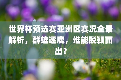 世界杯预选赛亚洲区赛况全景解析，群雄逐鹿，谁能脱颖而出？