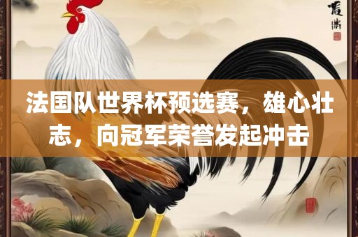 法国队世界杯预选赛，雄心壮志，向冠军荣誉发起冲击