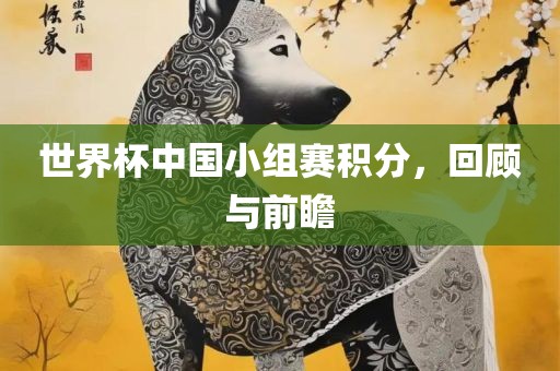世界杯中国小组赛积分，回顾与前瞻