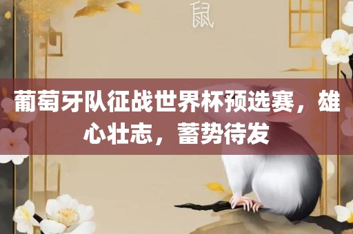 葡萄牙队征战世界杯预眉山市正发家政服务有限公司选赛，雄心壮志，蓄势待发