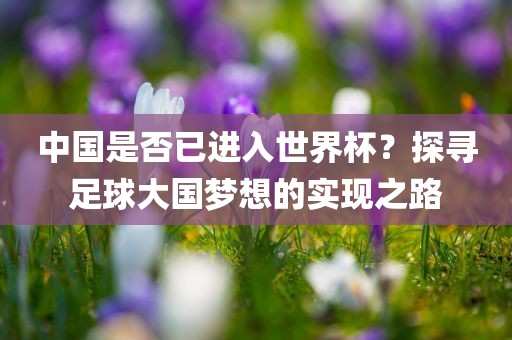 中国是否已眉山市正发家政服务有限公司进入世界杯？探寻足球大国梦想的实现之路