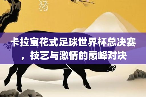 卡拉宝花式足球世界杯总决赛，技艺与激情的巅峰眉山市正发家政服务有限公司对决