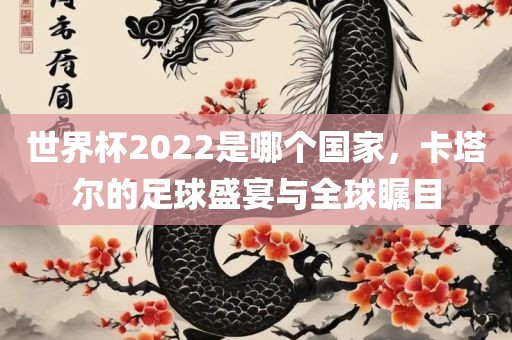 世界杯2022