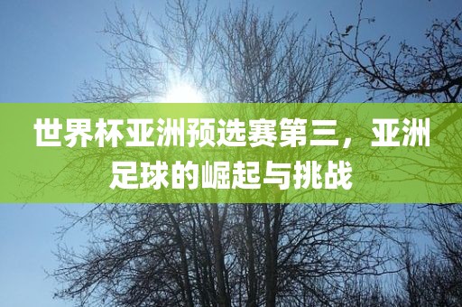 世界杯亚洲预选赛第三，亚洲足球的崛起与挑战