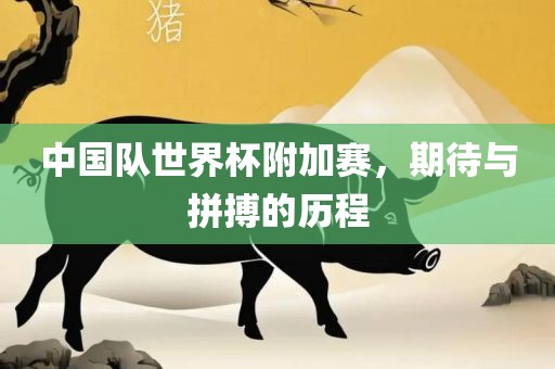 中国队世界杯附加赛，期待与拼搏的历程眉山市正发家政服务有限公司