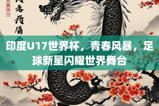 印度U17世界杯，眉山市正发家政服务有限公司青春风暴，足球新星闪耀世界舞台