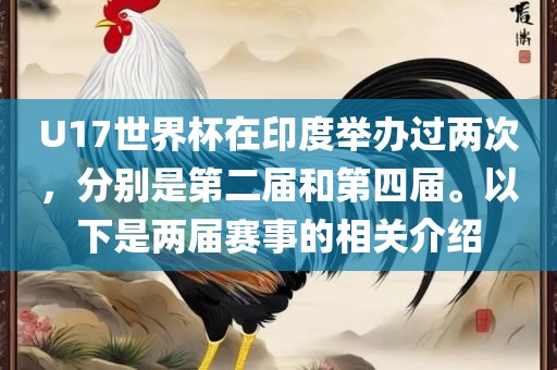 U17世界杯在印度举办过两次，分别是第二届和第四届。以下是两届赛事的相关介绍