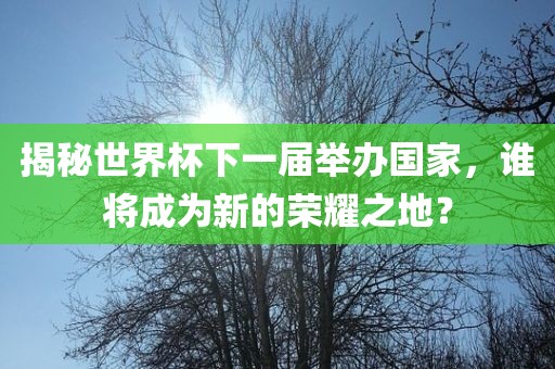 揭秘世界杯下一届举办国家，谁将成为新的荣耀之地？眉山市正发家政服务有限公司