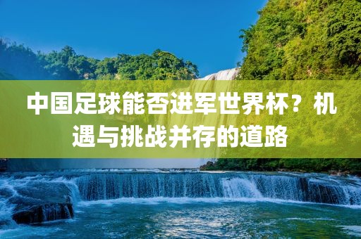 中国足球能否进军世界杯？机遇与挑战并存的道路