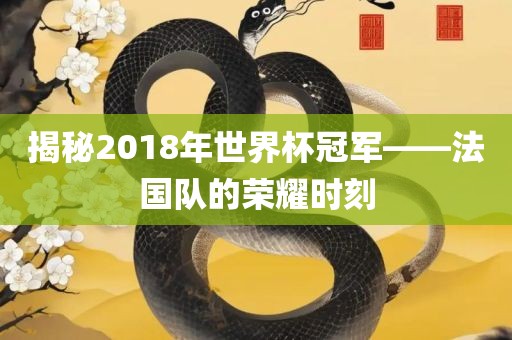 揭秘2018年世界杯冠军——法国队的荣耀时刻