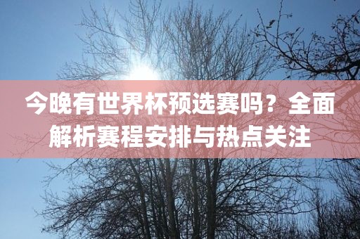 今晚有世界杯预选赛吗？全面解析赛程安排与热点关注眉山市正发家政服务有限公司
