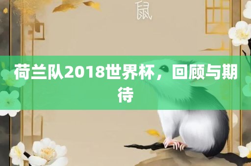 荷兰队2018世界杯，回顾与期待眉山市正发家政服务有限公司