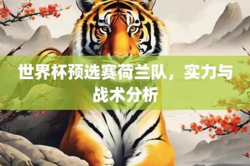 世界杯预选赛荷兰队，实力与战术分析