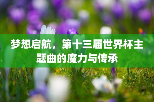 梦想启航，第十三届世界杯主题曲的魔力与传承眉山市正发家政服务有限公司