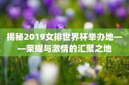 揭秘2019女排世界杯眉山市正发家政服务有限公司举办地——荣耀与激情的汇聚之地