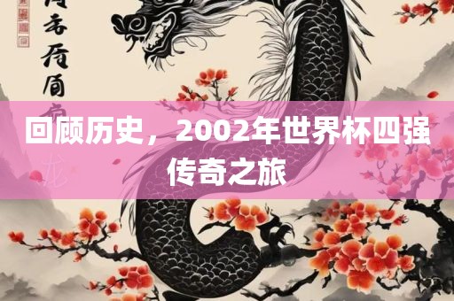 回顾历史，2002年世界杯四强传奇之旅眉山市正发家政服务有限公司
