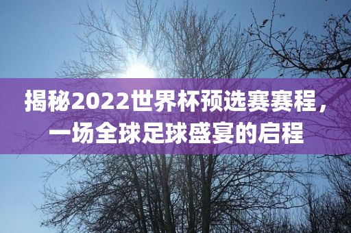 揭秘2022世界杯预选赛赛程，一场全球足球盛宴的启程眉山市正发家政服务有限公司