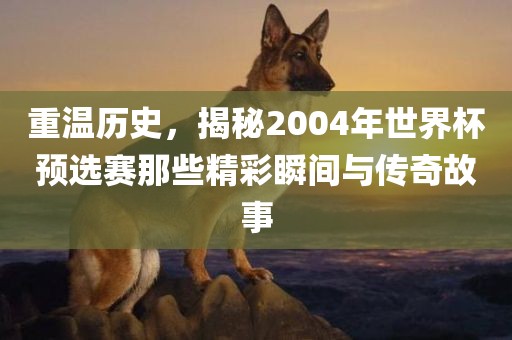 重温历史，揭秘2004年世界杯预选赛那些精彩瞬间与传奇故事眉山市正发家政服务有限公司
