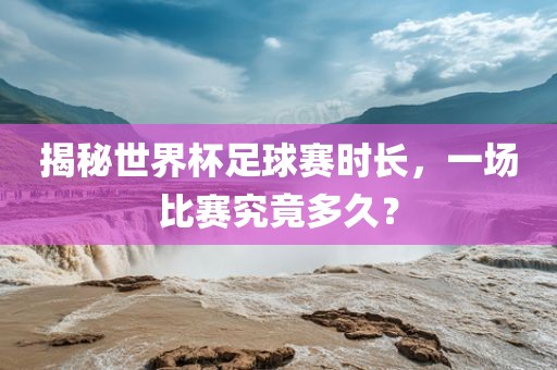 揭秘世界杯足球赛时长，一场比赛究竟多久？眉山市正发家政服务有限公司