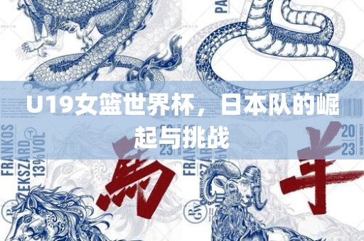 U19女篮世界杯，日本队的崛起与挑战眉山市正发家政服务有限公司
