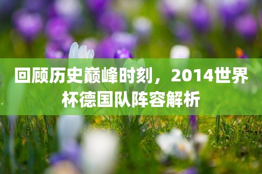 回顾历史巅峰时刻，2014世界杯德国队阵容解析眉山市正发家政服务有限公司