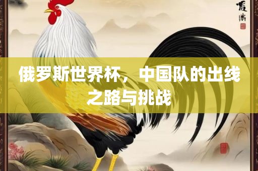 俄罗斯世界杯，中国队的出线之路与挑战