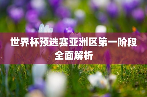 世界杯预选赛亚洲区第一阶段全面解析