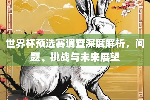 世界杯预选赛调查深度解析，问题、挑战与未来展望眉山市正发家政服务有限公司