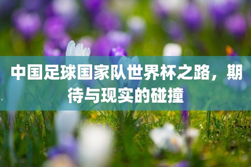 中国足球国家队世界杯之路，期待与现实的碰撞